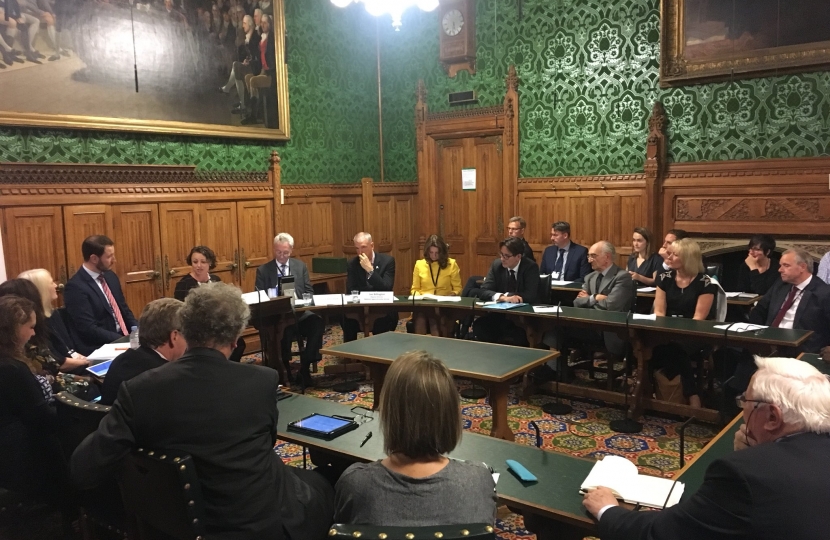 Gillian in APPG meeting 2