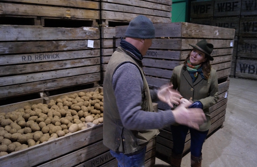 Gillian seeing potato storage