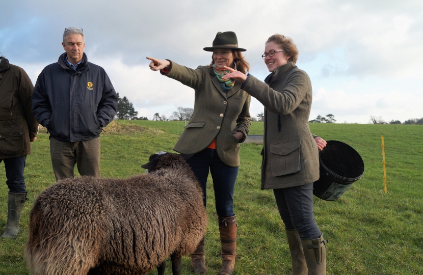 Gillian on a farm in the South Downs