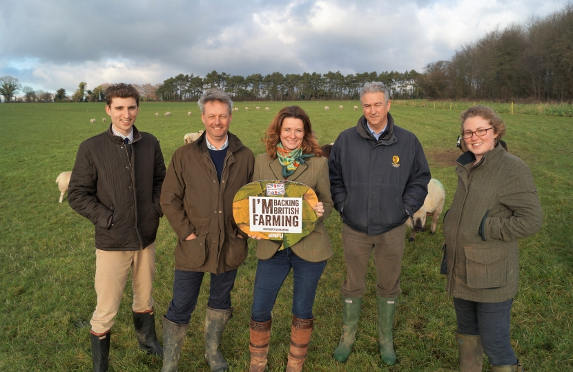 Gillian visiting a farm on the South Downs 