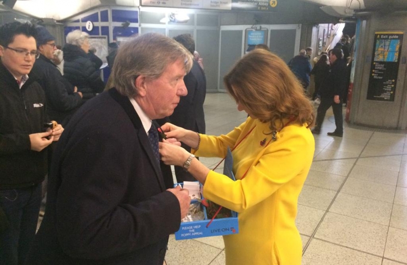 Gillian pinning on a poppy