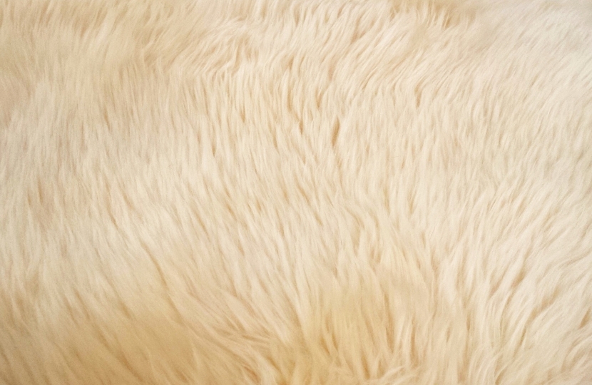 Fur.