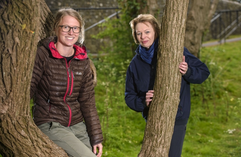 CDC Penny Plant - planting trees