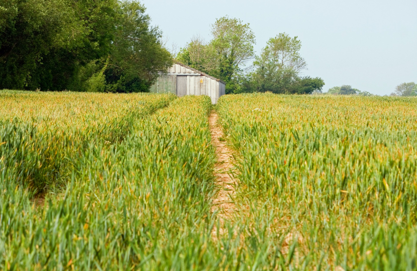 Farmland 