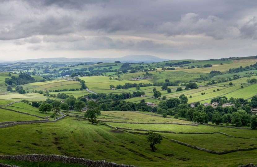 English Fields