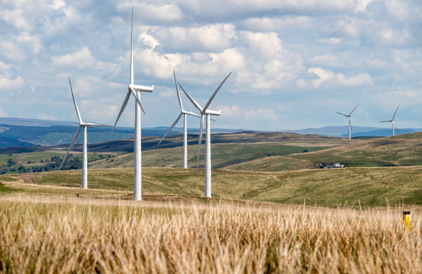 Wind Farm