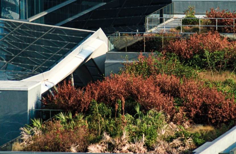 Building with Rooftop Garden