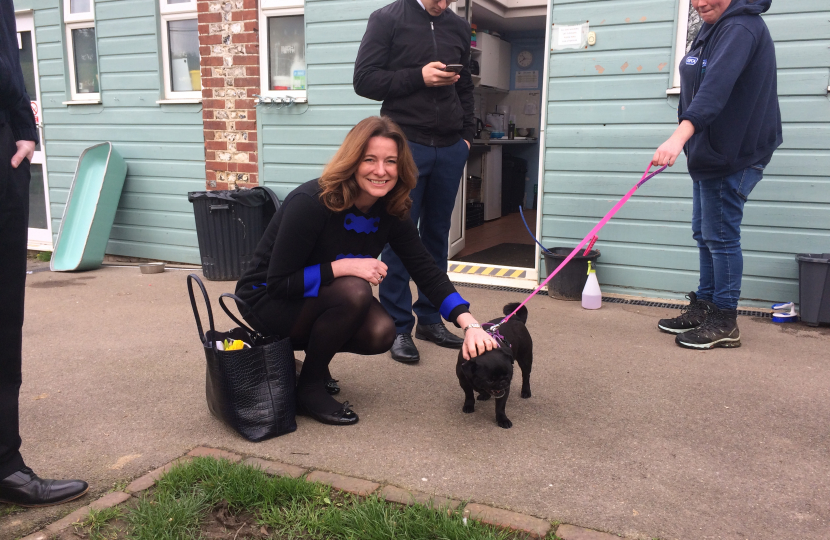 Gillian at RSPCA 