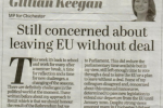 Still concerned about leaving EU without deal - Chichester Observer