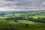 English Fields