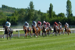 Horse Racing