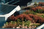 Building with Rooftop Garden