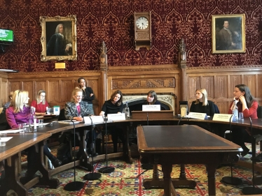 APPG meeting 