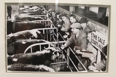 cattle market historic 