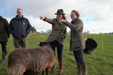 Gillian Keegan MP (centre) meets farmers in the Sussex.